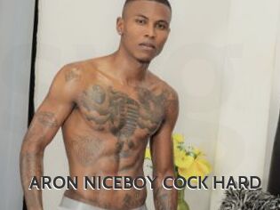 ARON_NICEBOY_COCK_HARD