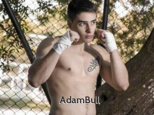 AdamBull