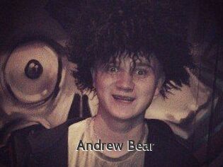 Andrew_Bear