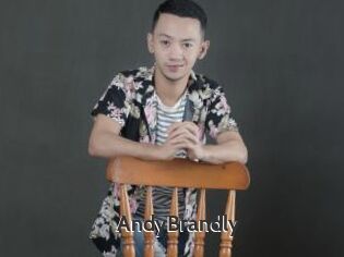 AndyBrandly