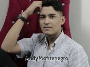 AndyMontenegro