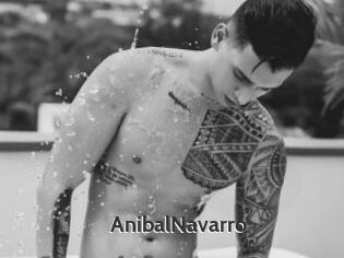 AnibalNavarro