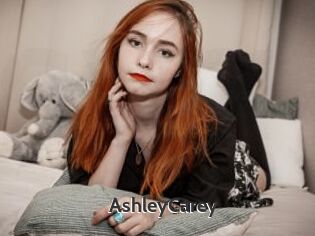 AshleyCarey Sex Video Gif