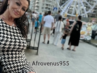 Afrovenus955