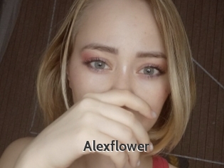 Alexflower