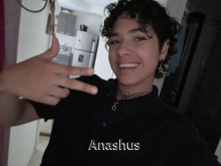 Anashus