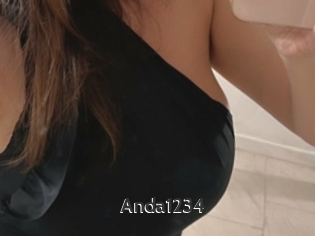 Anda1234