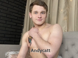 Andycatt