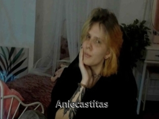 Aniecastitas