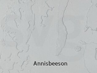 Annisbeeson