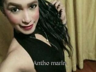 Antho_marin