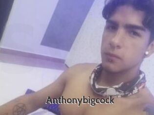 Anthonybigcock