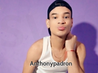 Anthonypadron