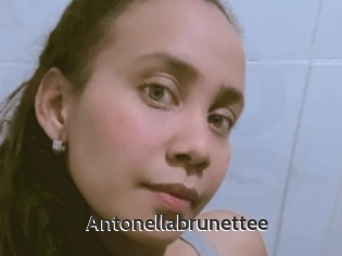 Antonellabrunettee