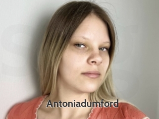 Antoniadumford