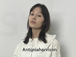 Antoniaharvison