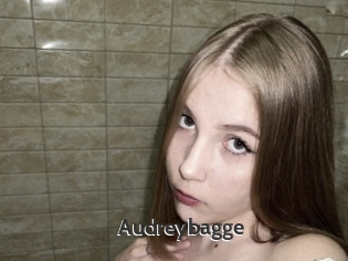 Audreybagge