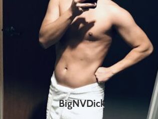 BigNVDick