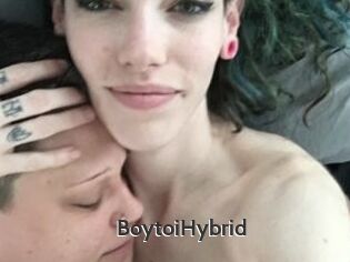 BoytoiHybrid