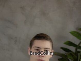 BredCollins