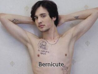 Bernicute