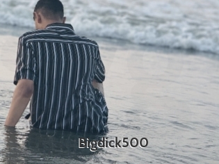 Bigdick500