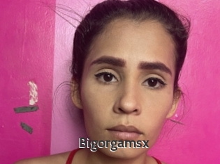 Bigorgamsx