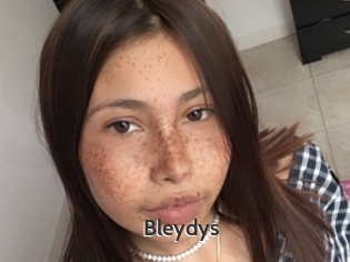 Bleydys