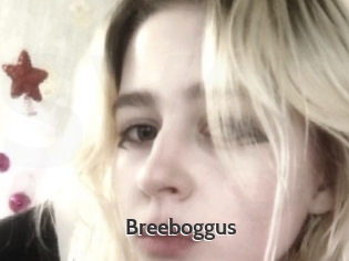 Breeboggus