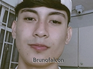 Brunofalcon