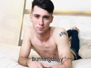 Burningdany