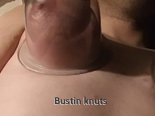 Bustin_knuts