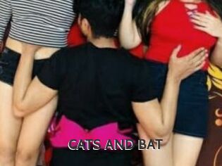 CATS_AND_BAT