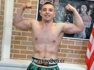 CarlitoBoxer