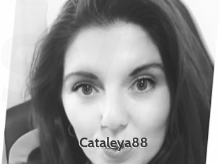 Cataleya88