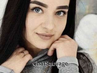 ChatSauvage