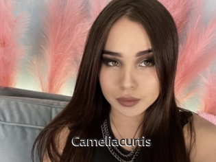 Cameliacurtis