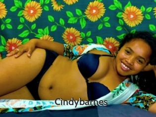 Cindybarnes