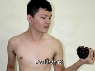 Darkboy18