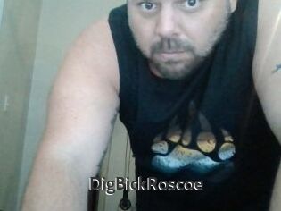 DigBickRoscoe