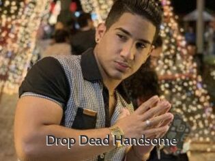 Drop_Dead_Handsome