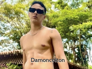 Damoncolton