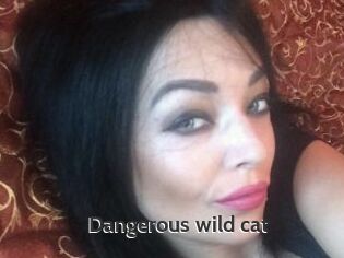 Dangerous_wild_cat