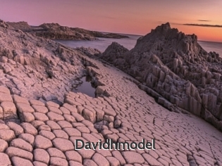 Davidhmodel