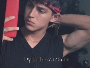 Dylan_brown15cm