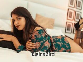 ElaineBird