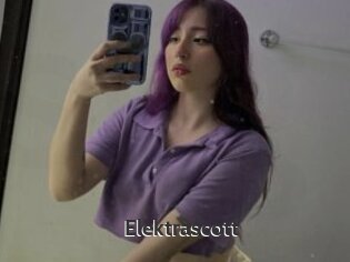 Elektrascott