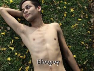 Eliotgrey