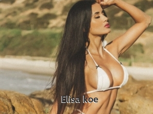 Elisa_koe