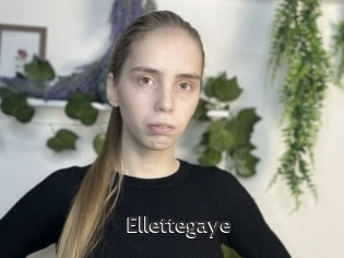 Ellettegaye